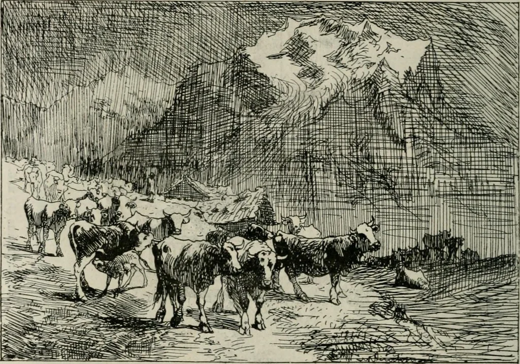 An illustration from Catalogue illustré, 1879, leaf 161