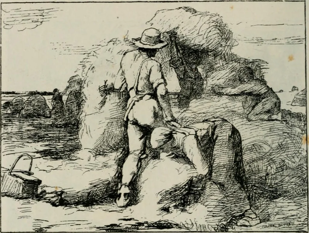 An illustration from Catalogue illustré, 1879, leaf 173