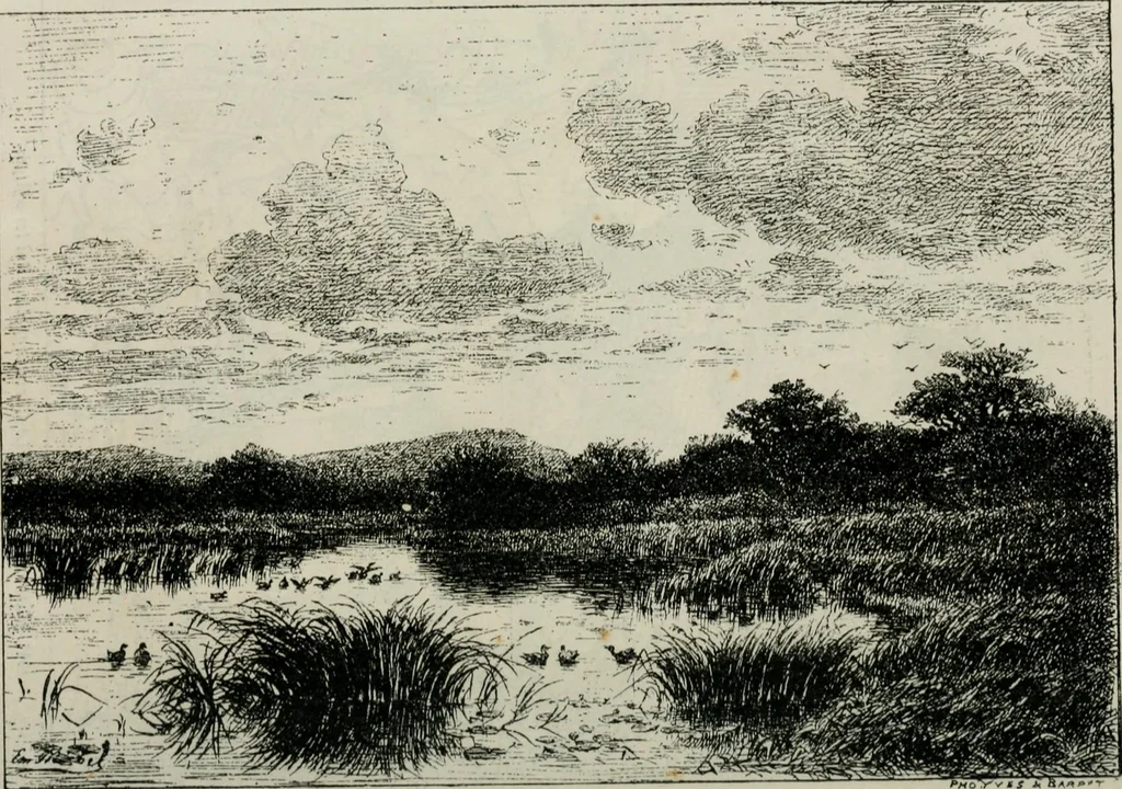 An illustration from Catalogue illustré, 1879, leaf 189