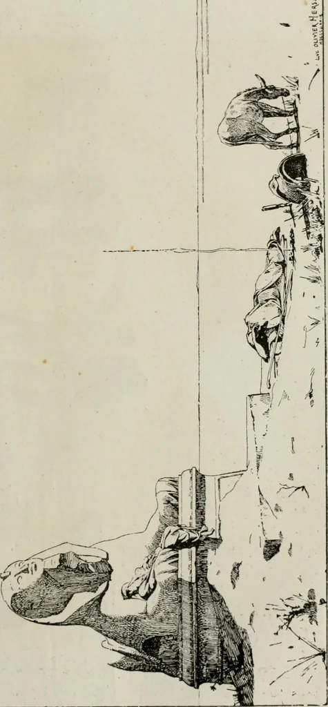 An illustration from Catalogue illustré, 1879, leaf 190