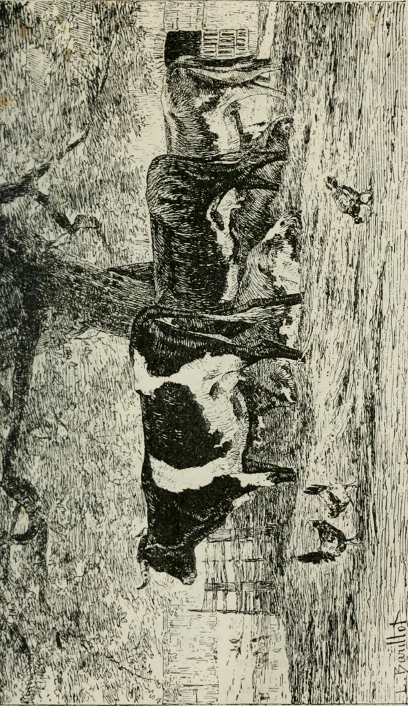 An illustration from Catalogue illustré, 1879, leaf 24