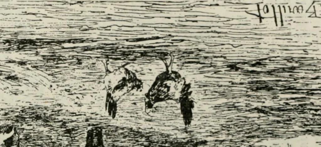 An illustration from Catalogue illustré, 1879, leaf 24