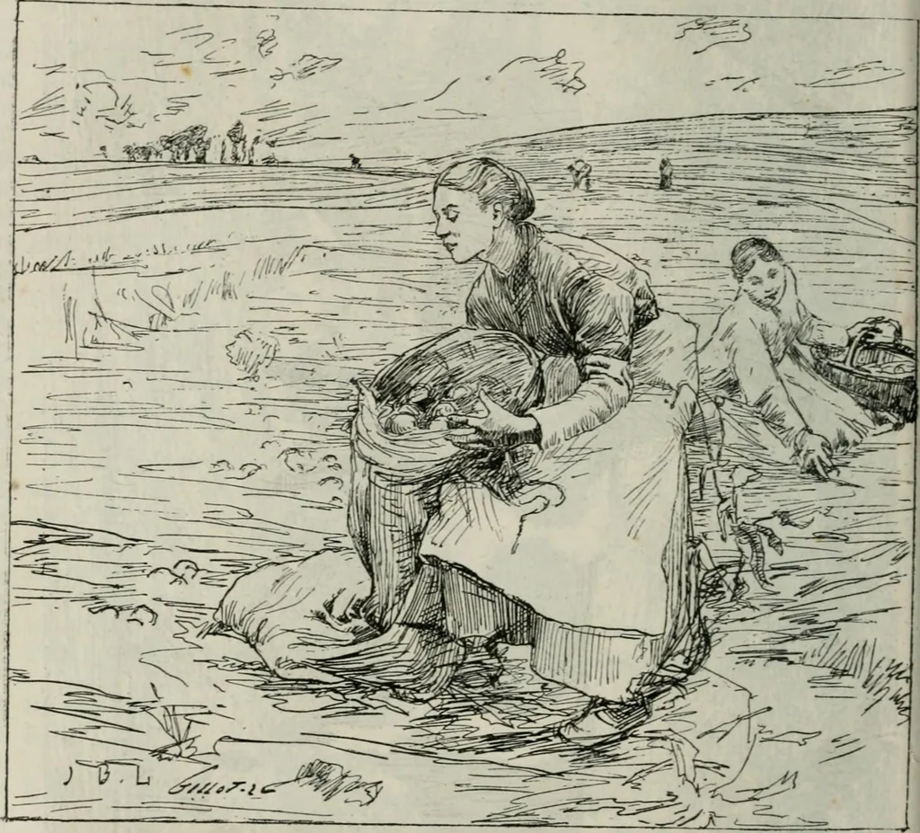 An illustration from Catalogue illustré, 1879, leaf 25