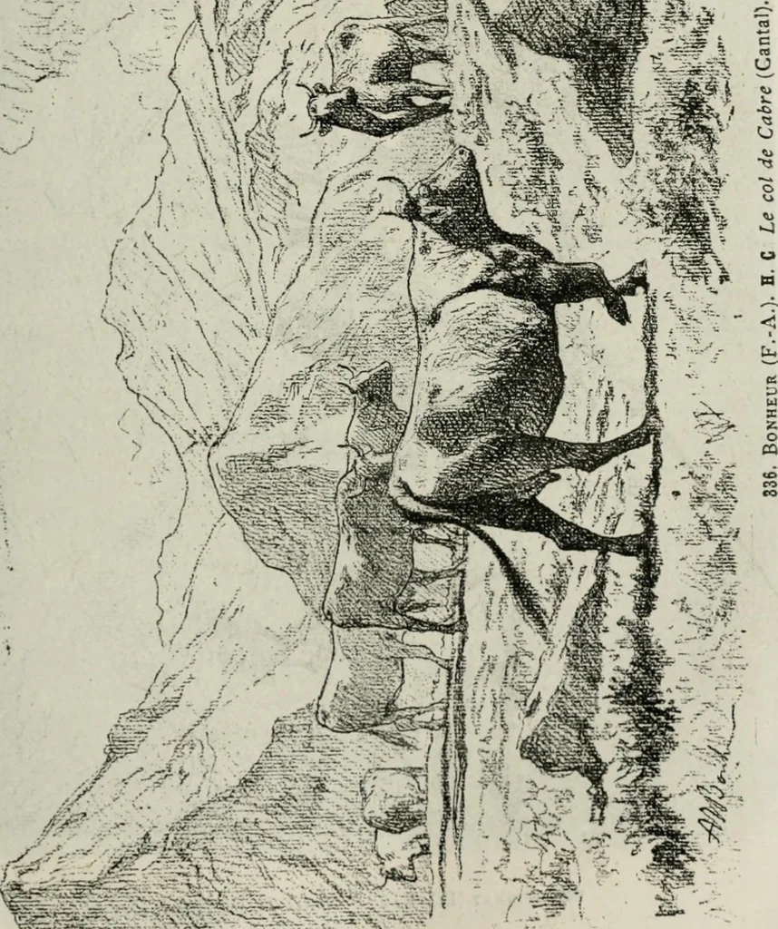 An illustration from Catalogue illustré, 1879, leaf 32