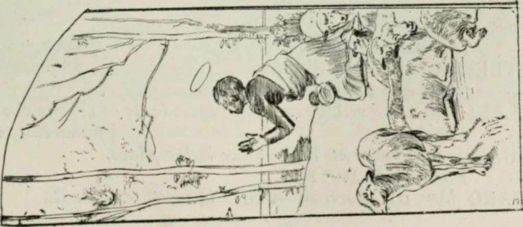 An illustration from Catalogue illustré, 1879, leaf 62