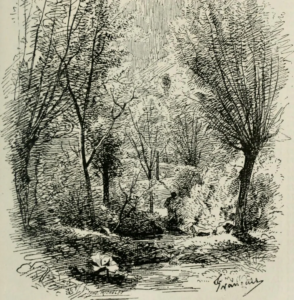 An illustration from Catalogue illustré, 1879, leaf 68