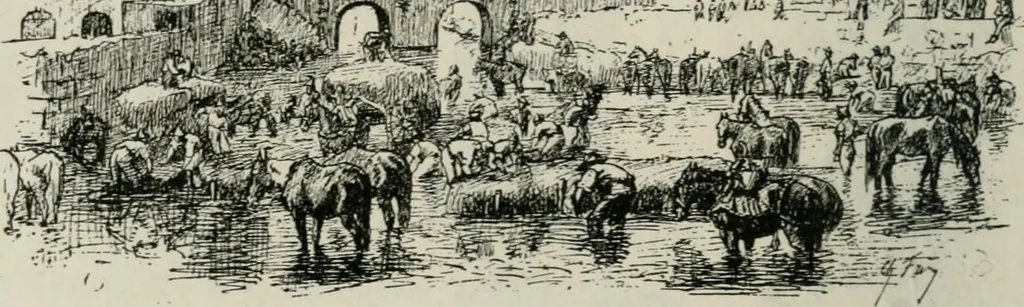 An illustration from Catalogue illustré, 1879, leaf 71