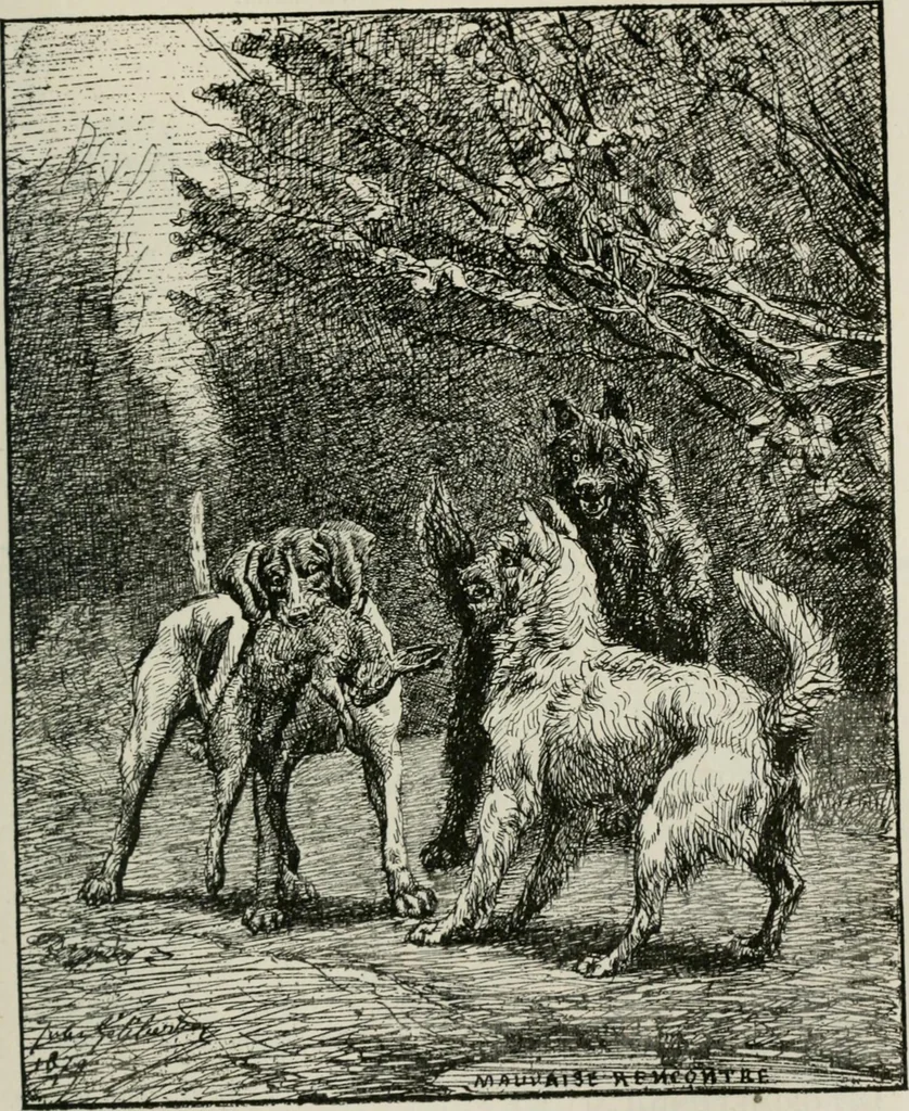 An illustration from Catalogue illustré, 1879, leaf 76