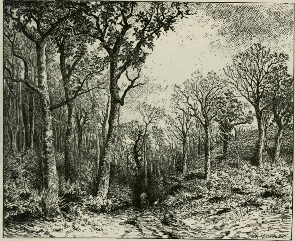 An illustration from Catalogue illustré, 1879, leaf 82