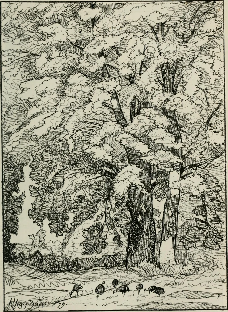 An illustration from Catalogue illustré, 1879, leaf 88
