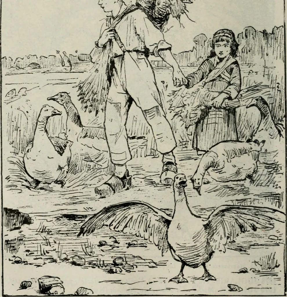 An illustration from Catalogue illustré, 1879, leaf 89