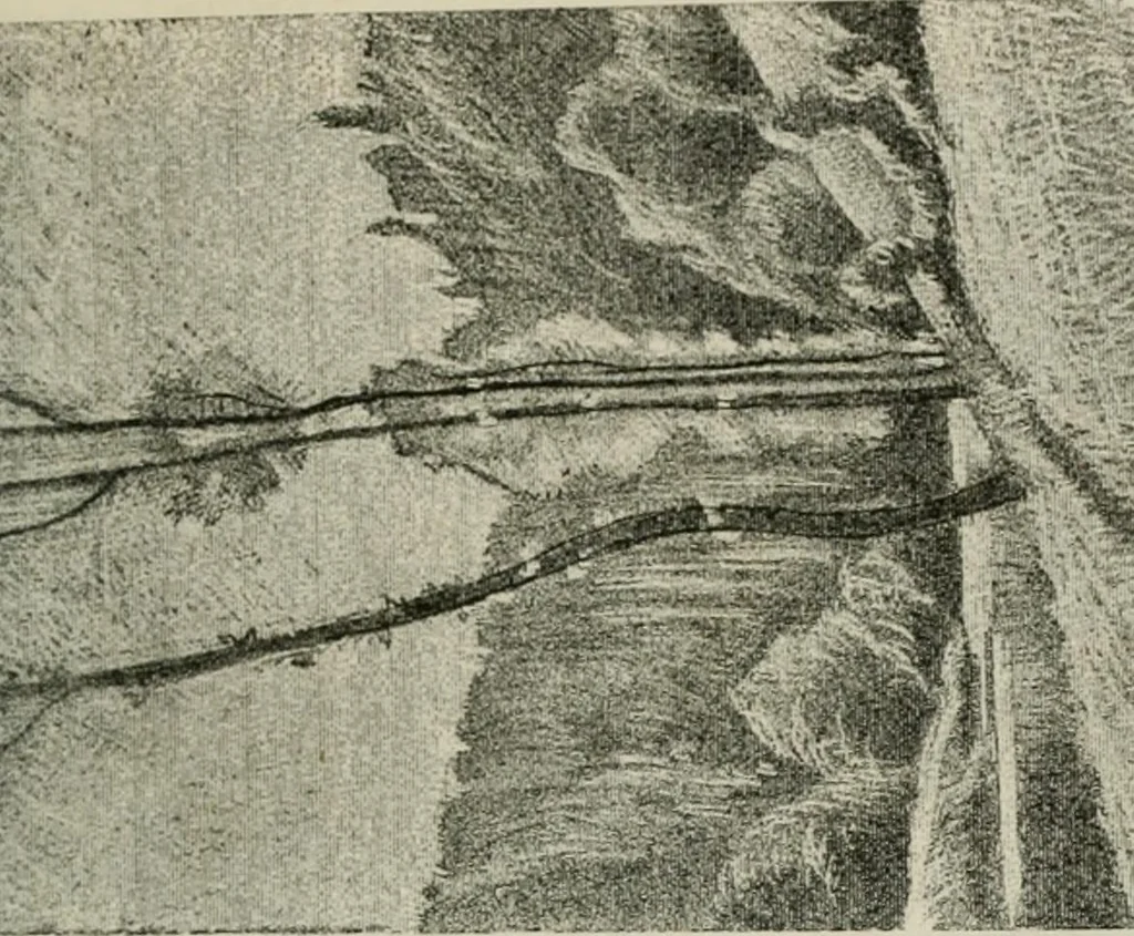 An illustration from Catalogue illustré, 1879, leaf 106