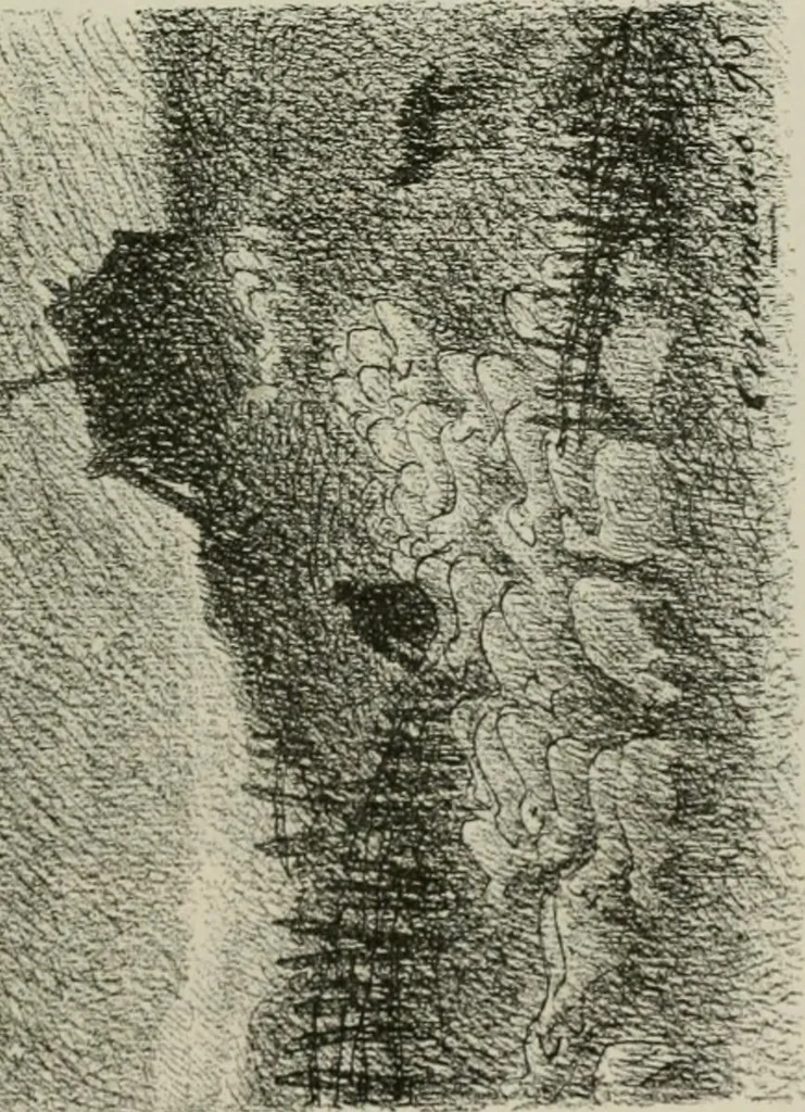 An illustration from Catalogue illustré, 1879, leaf 106