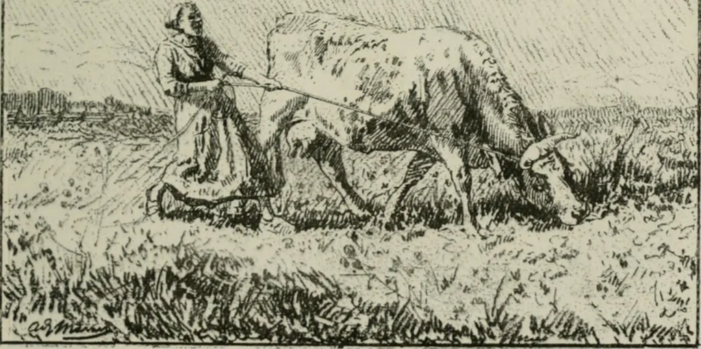 An illustration from Catalogue illustré, 1879, leaf 110
