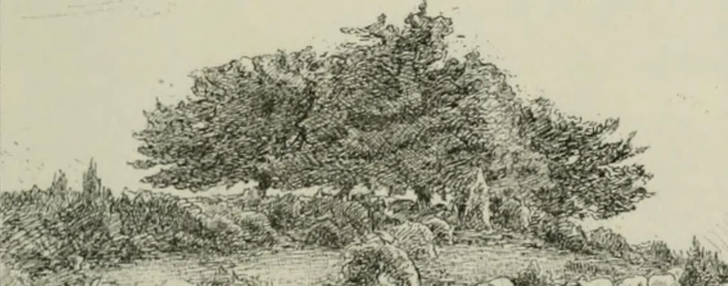 An illustration from Catalogue illustré, 1879, leaf 114
