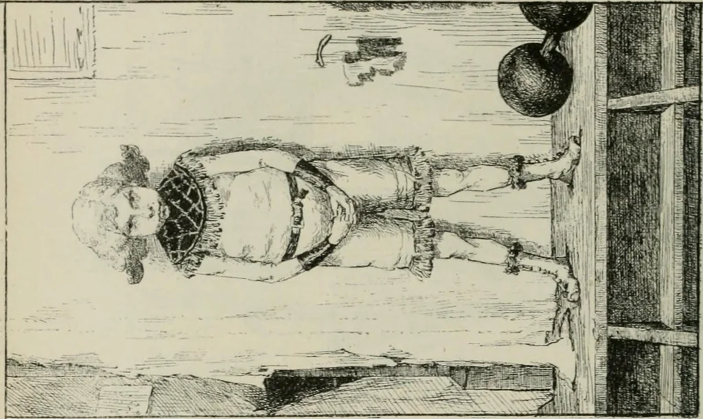 An illustration from Catalogue illustré, 1879, leaf 137