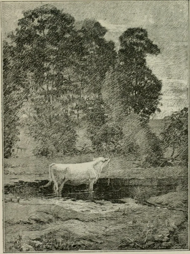 An illustration from Catalogue illustré, 1879, leaf 138