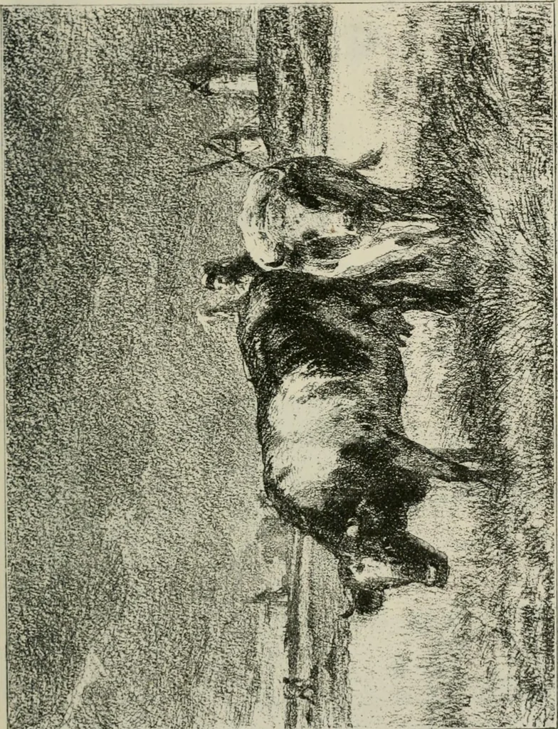 An illustration from Catalogue illustré, 1879, leaf 140