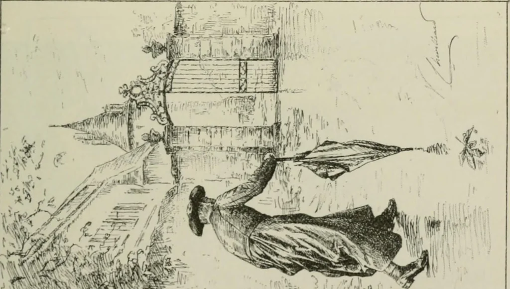 An illustration from Catalogue illustré, 1879, leaf 142