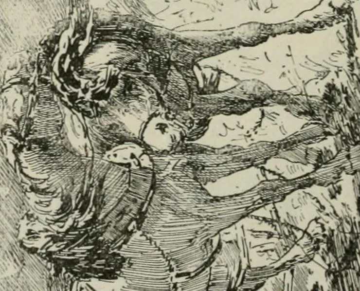An illustration from Catalogue illustré, 1879, leaf 143
