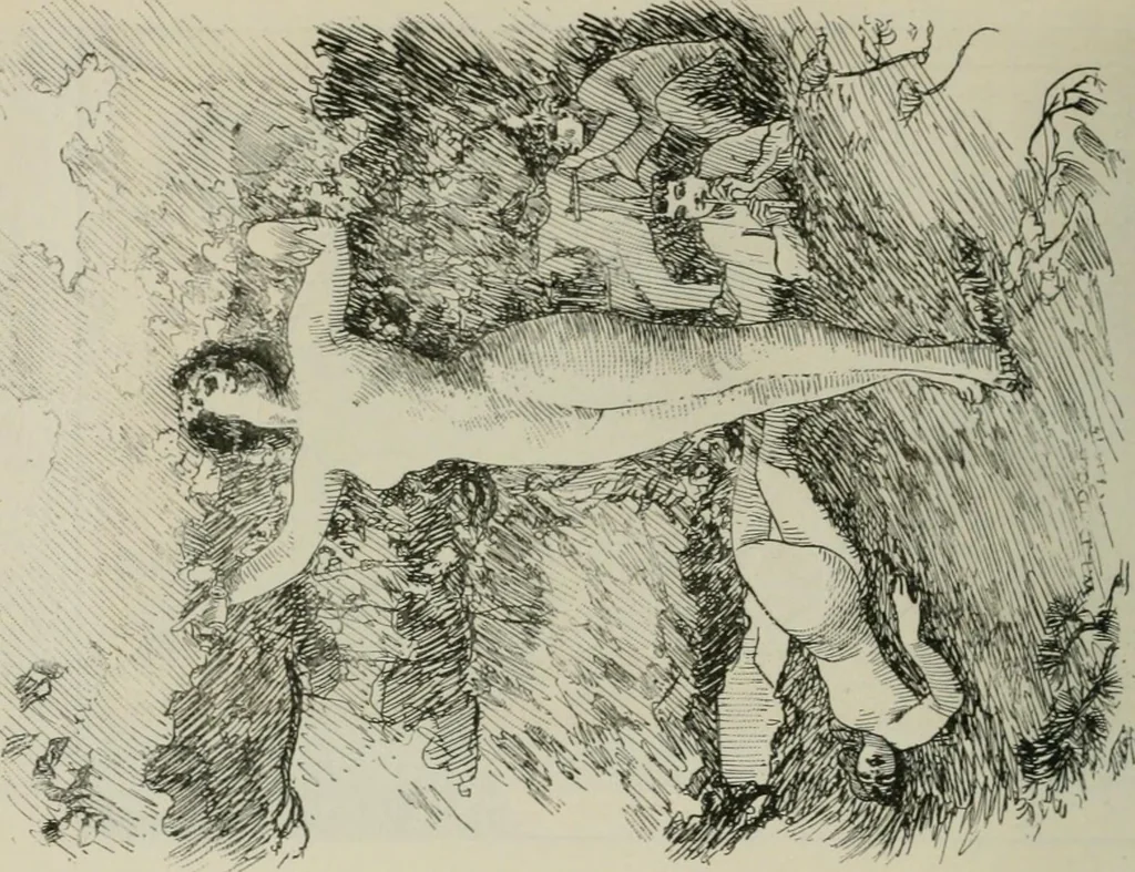 An illustration from Catalogue illustré, 1879, leaf 145