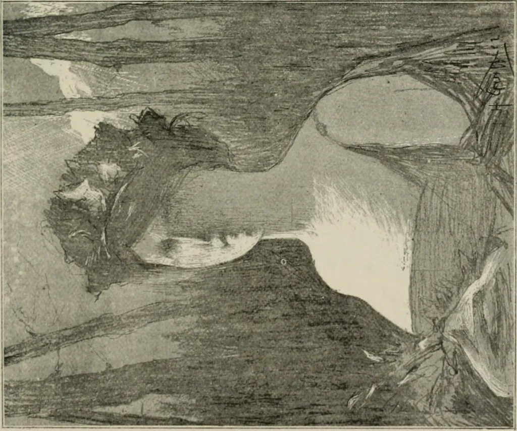 An illustration from Catalogue illustré, 1879, leaf 146