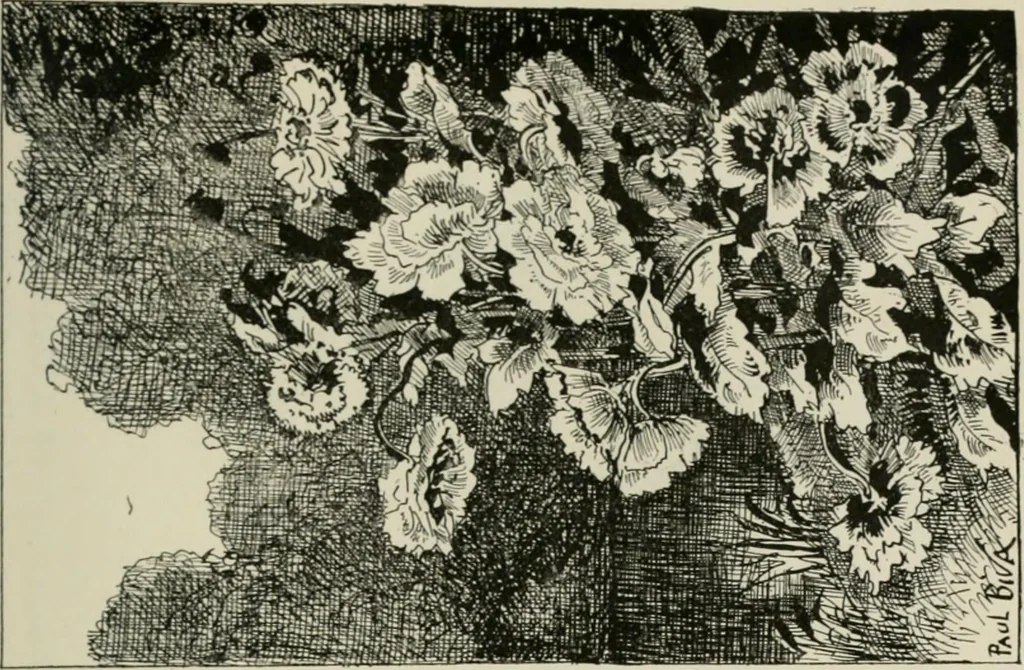 An illustration from Catalogue illustré, 1879, leaf 150