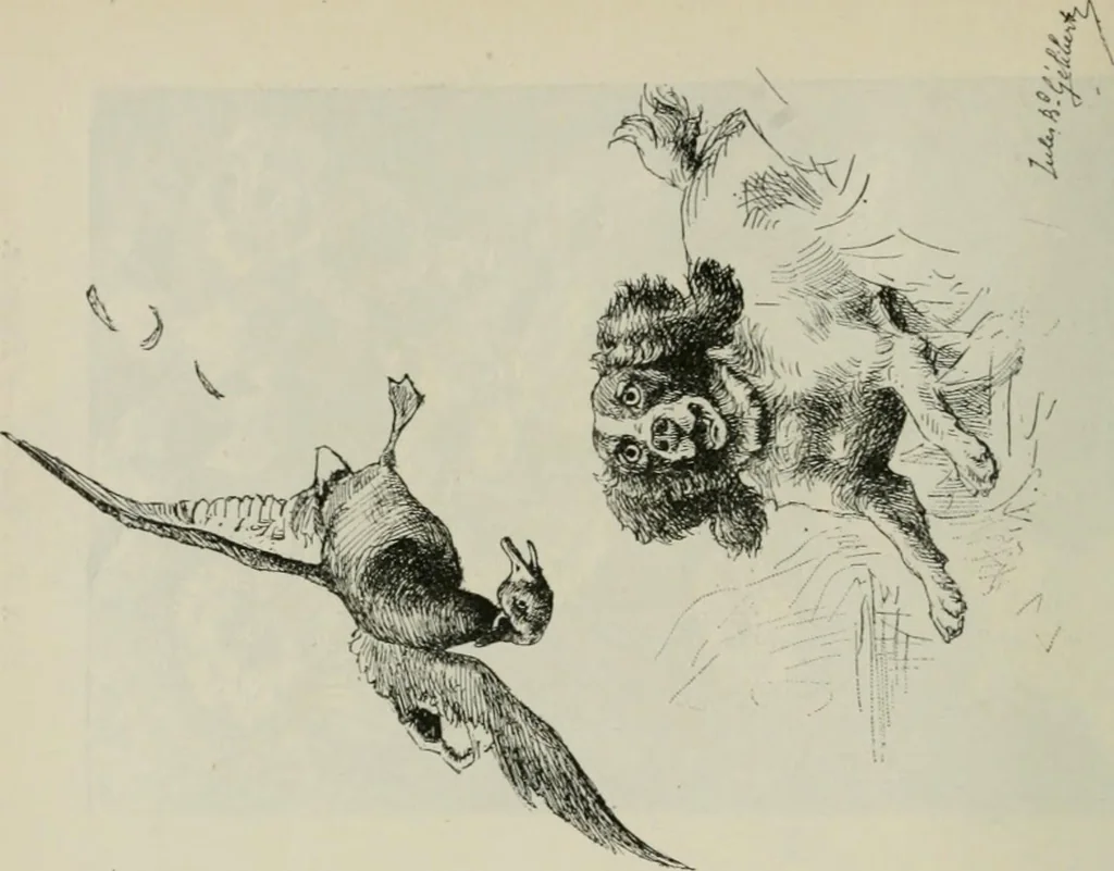 An illustration from Catalogue illustré, 1879, leaf 151