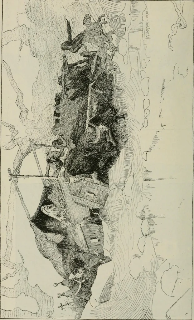 An illustration from Catalogue illustré, 1879, leaf 155