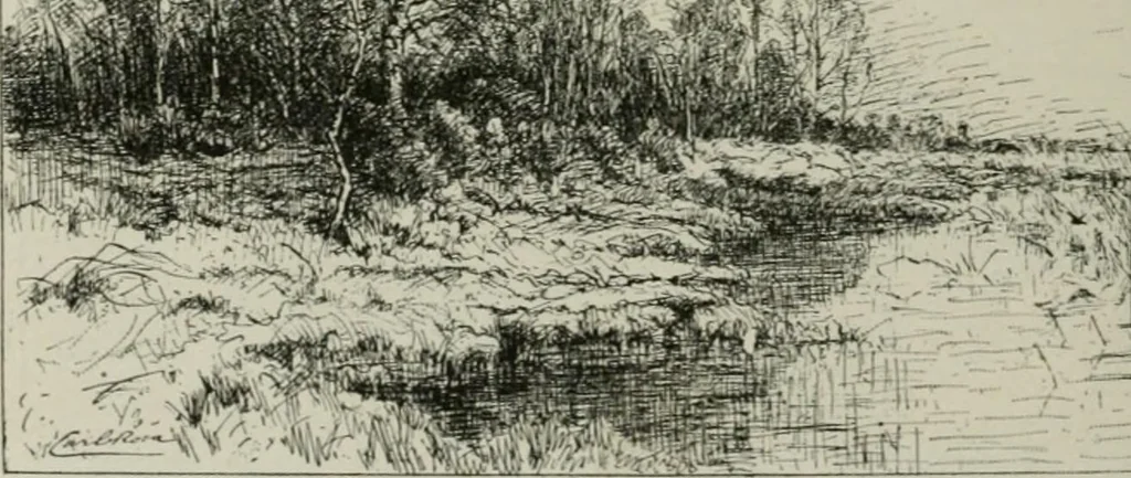 An illustration from Catalogue illustré, 1879, leaf 159