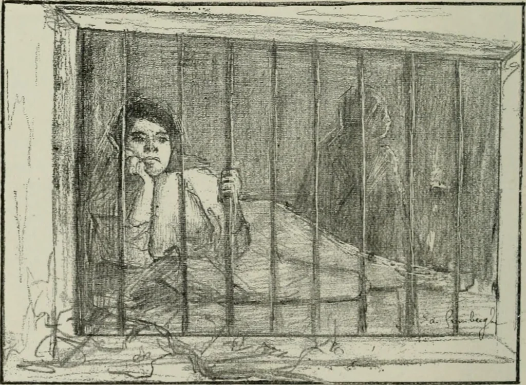 An illustration from Catalogue illustré, 1879, leaf 161
