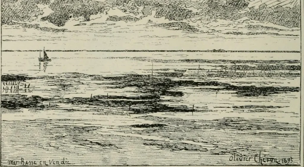 An illustration from Catalogue illustré, 1879, leaf 165