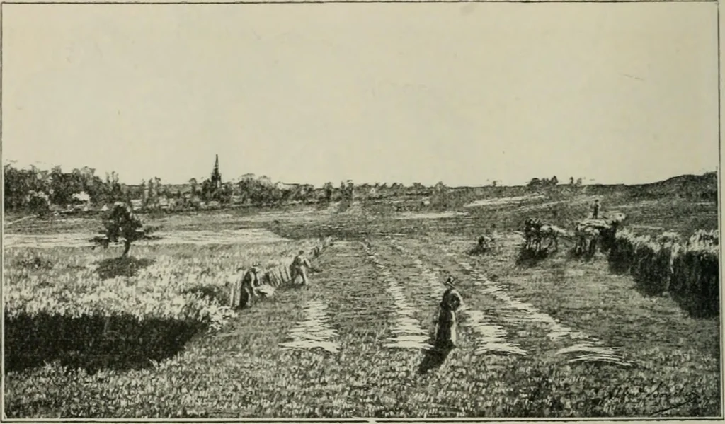 An illustration from Catalogue illustré, 1879, leaf 167