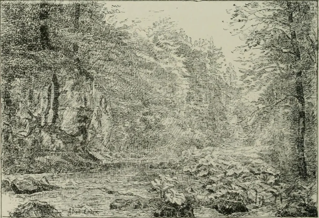 An illustration from Catalogue illustré, 1879, leaf 167