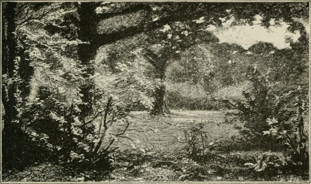 An illustration from Catalogue illustré, 1879, leaf 168