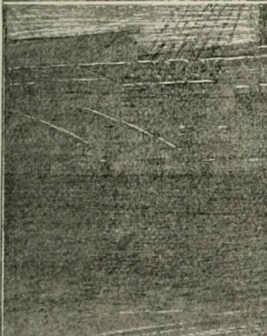 An illustration from Catalogue illustré, 1879, leaf 168