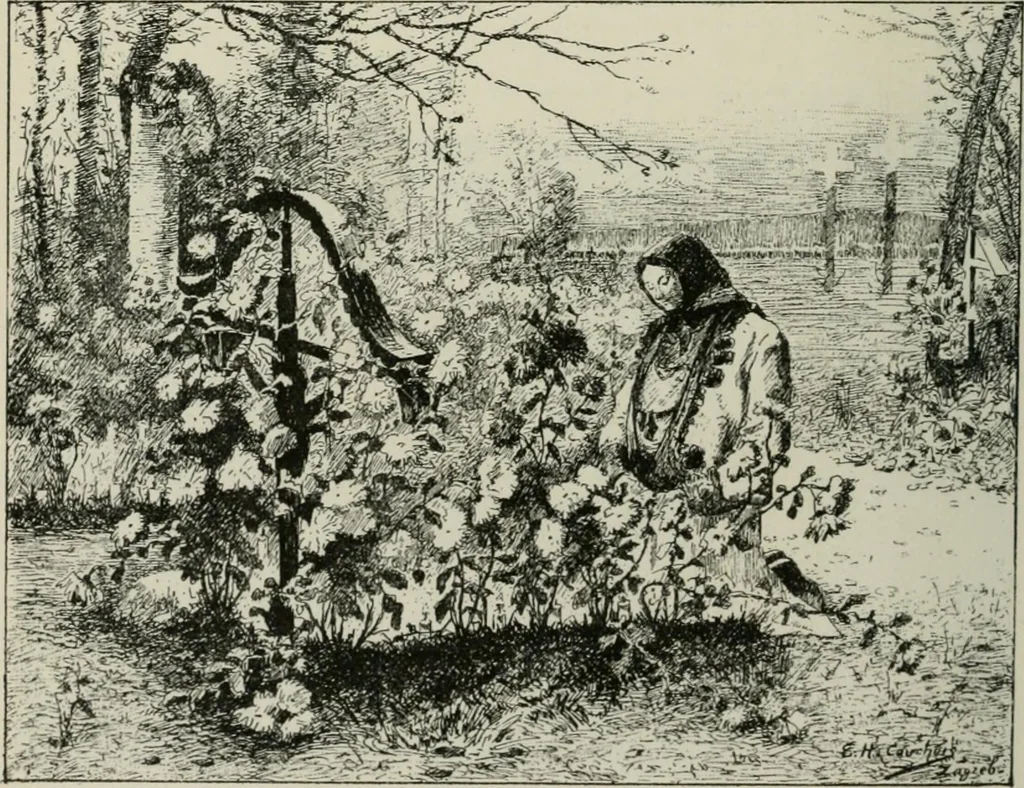 An illustration from Catalogue illustré, 1879, leaf 169
