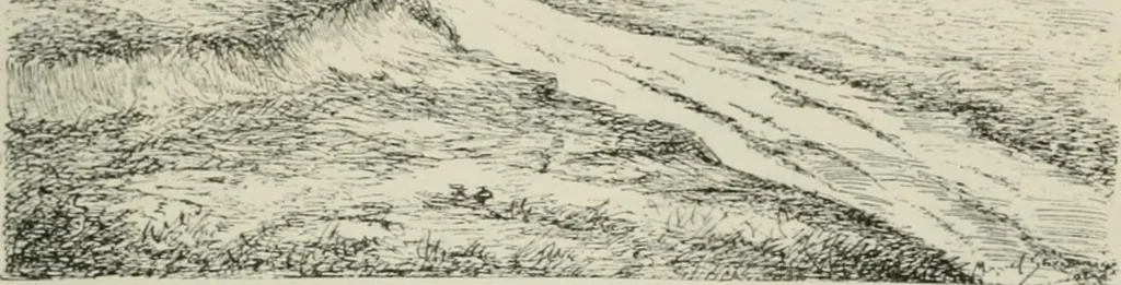 An illustration from Catalogue illustré, 1879, leaf 174