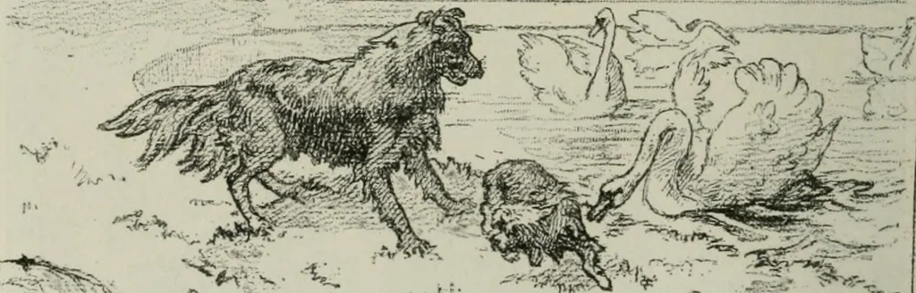 An illustration from Catalogue illustré, 1879, leaf 177