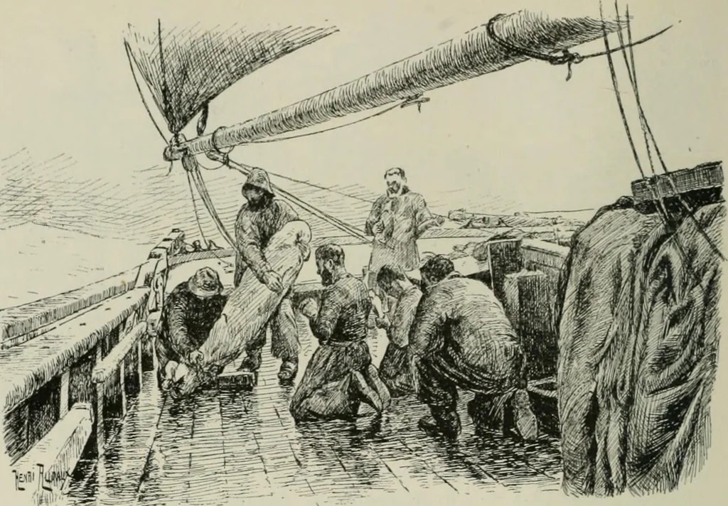 An illustration from Catalogue illustré, 1879, leaf 183