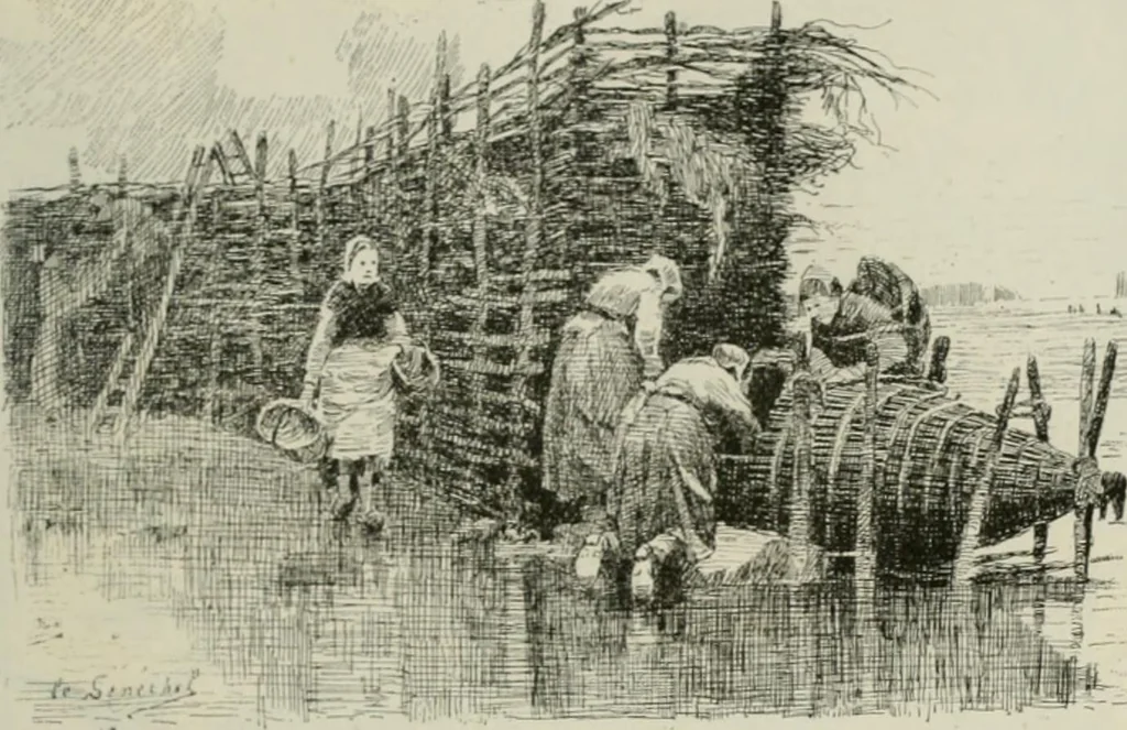 An illustration from Catalogue illustré, 1879, leaf 184