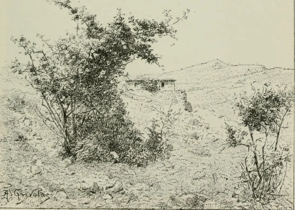 An illustration from Catalogue illustré, 1879, leaf 186