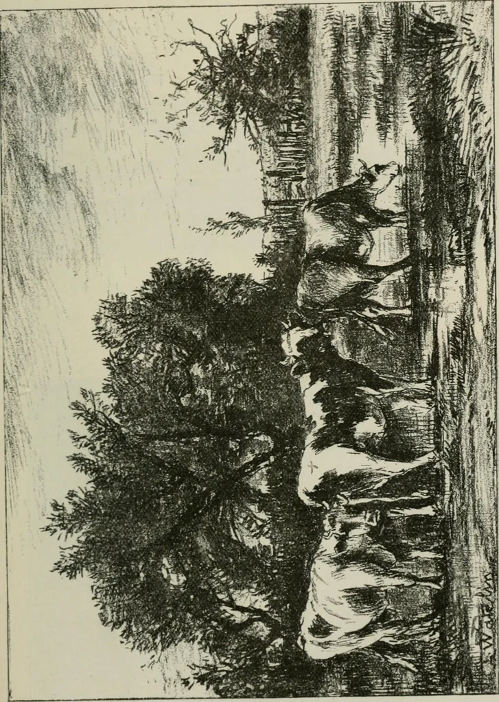 An illustration from Catalogue illustré, 1879, leaf 188