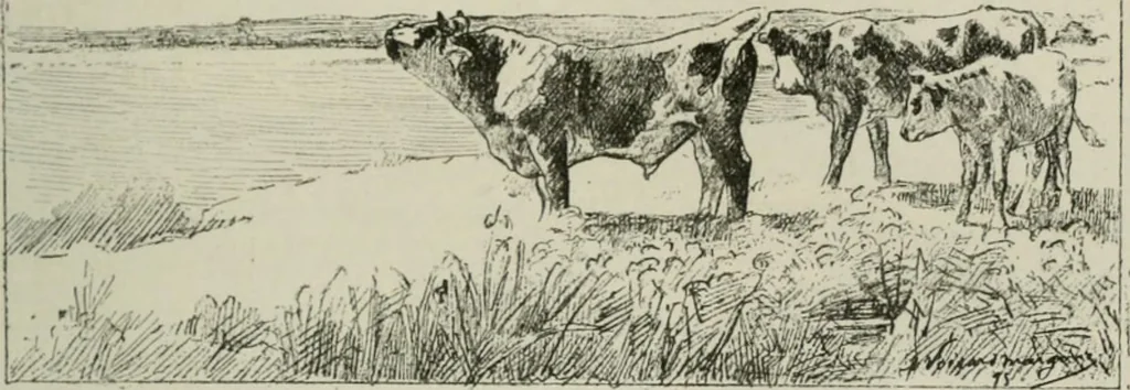 An illustration from Catalogue illustré, 1879, leaf 190