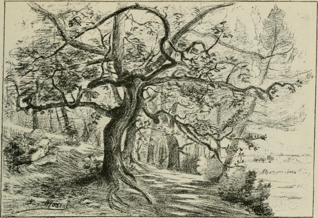An illustration from Catalogue illustré, 1879, leaf 192