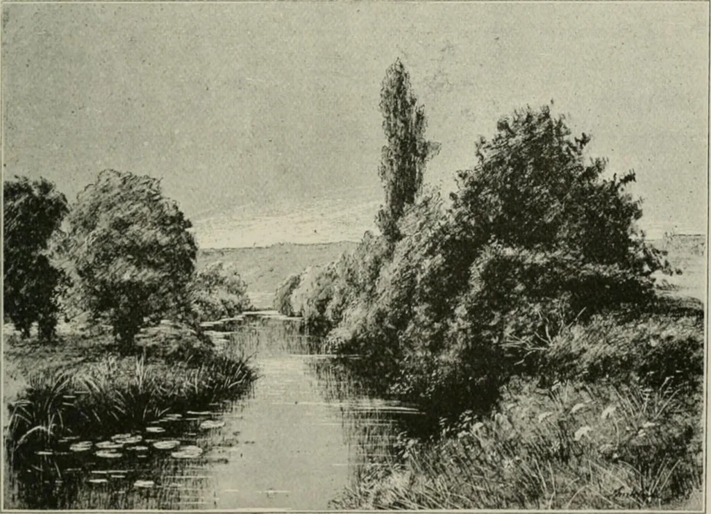 An illustration from Catalogue illustré, 1879, leaf 192