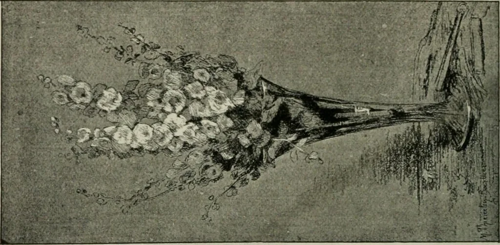 An illustration from Catalogue illustré, 1879, leaf 205