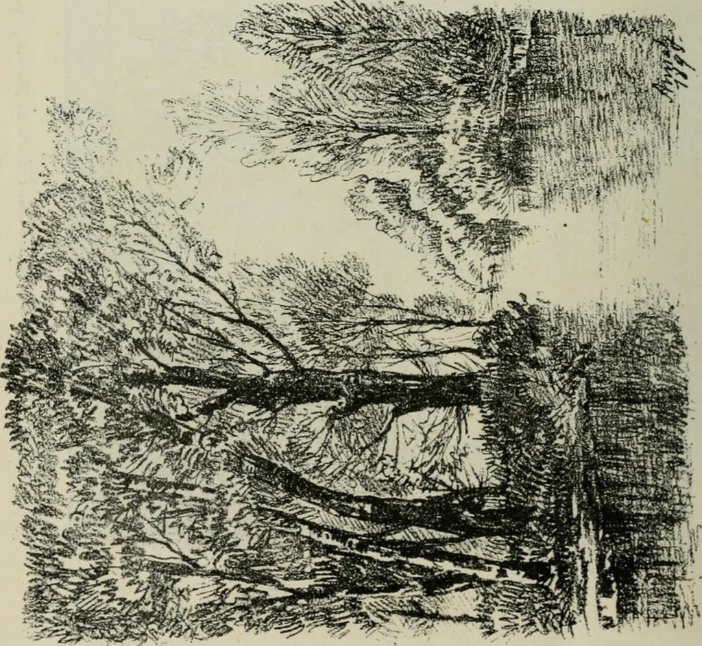 An illustration from Catalogue illustré, 1879, leaf 205