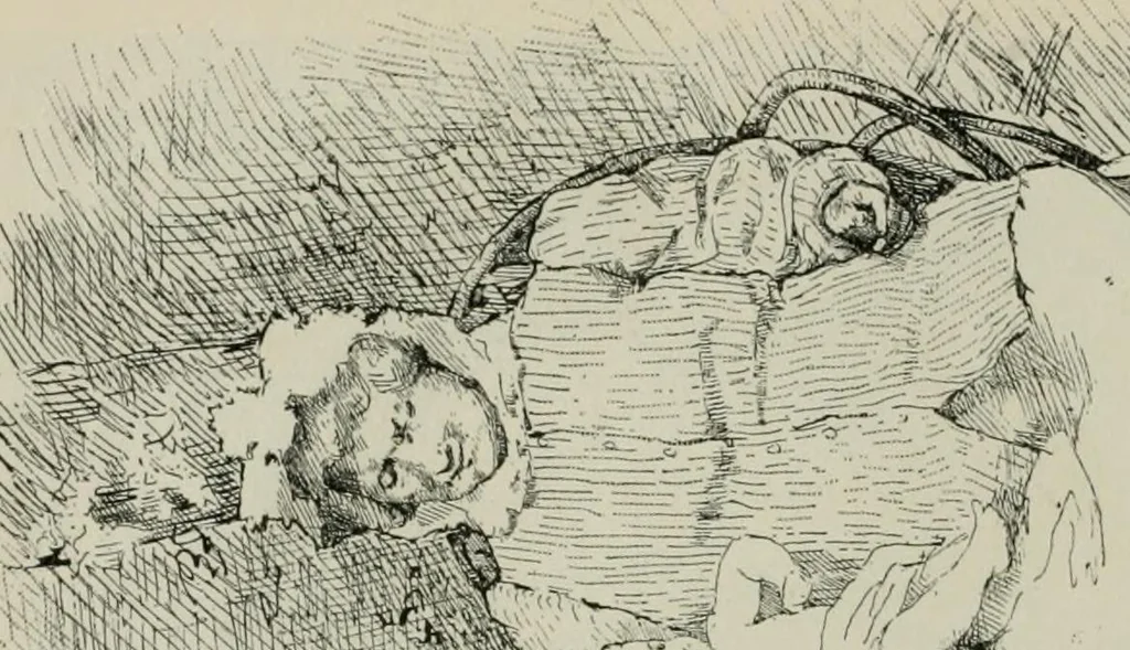 An illustration from Catalogue illustré, 1879, leaf 207