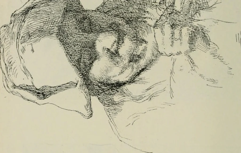 An illustration from Catalogue illustré, 1879, leaf 209